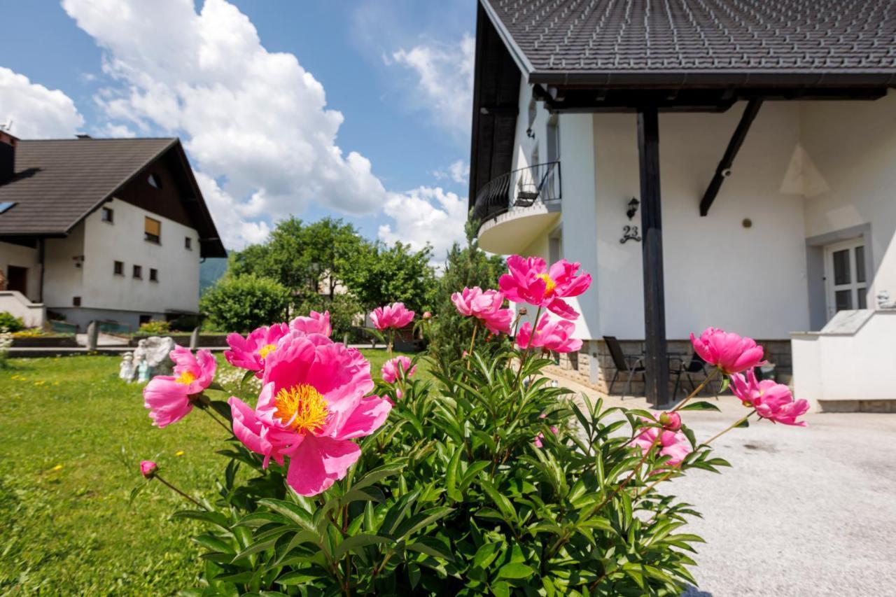 Apartment Wolf Bohinj ภายนอก รูปภาพ